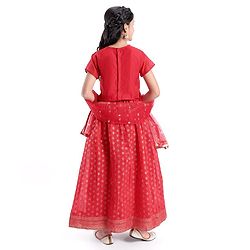 Pine Kids Half Sleeves Embroidered Choli & Lehenga Set- Red
