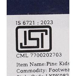 Pine Kids Sandals with Velcro Closure- Silver