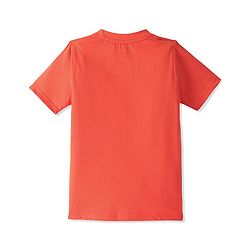 Pine Kids 100% Cotton Half Sleeves T-Shirt Jungle Print - Orange