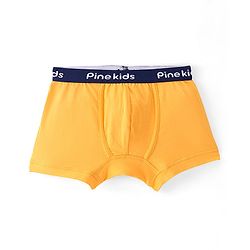 Pine Kids Cotton Lycra Solid Colour Trunks Pack of 3 - Multicolor