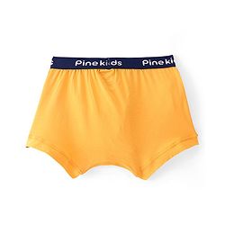 Pine Kids Cotton Lycra Solid Colour Trunks Pack of 3 - Multicolor