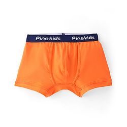 Pine Kids Cotton Lycra Solid Colour Trunks Pack of 3 - Multicolor