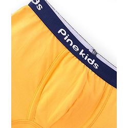 Pine Kids Cotton Lycra Solid Colour Trunks Pack of 3 - Multicolor