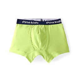 Pine Kids Cotton Lycra Knit Striped Briefs Pack of 3 - Multicolor