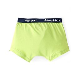 Pine Kids Cotton Lycra Knit Striped Briefs Pack of 3 - Multicolor