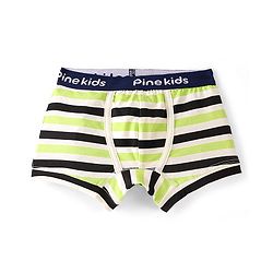 Pine Kids Cotton Lycra Knit Striped Briefs Pack of 3 - Multicolor