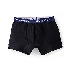 Pine Kids Cotton Lycra Knit Striped Briefs Pack of 3 - Multicolor