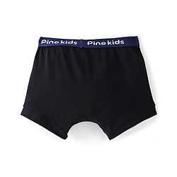 Pine Kids Cotton Lycra Knit Striped Briefs Pack of 3 - Multicolor