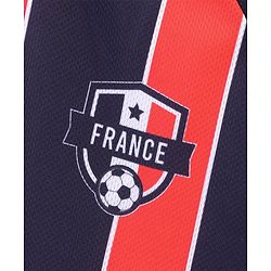 Pine Active Half Sleeves Tee with Shorts France Football Set - Red & Navy Blue