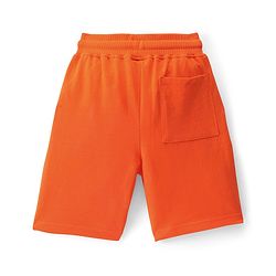 Pine Kids Single Jersey Knit Half Sleeves T-Shirt & Shorts Set Palm Tree Print  Blue & Orange