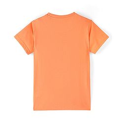 Pine Kids Cotton Knit Half Sleeves  T-Shirts Text Print Pack of 5 - Multicolour