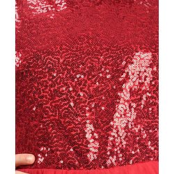 Pine Kids Sleeveless Party Frock With Floral Applique & Sequins Detailing - Red