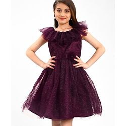 Pine Kids Sleeveless Party Frock With Glitter Detailing & Floral Applique - Purple