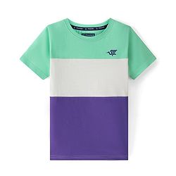 Pine Kids  Cotton Knit Half Sleeves Striped T-Shirt  - Multicolour