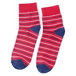 Pine Kids High Ankle Length Socks Text and Stripes Print Pack of 3 - Multicolor