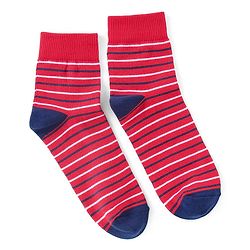 Pine Kids High Ankle Length Socks Text and Stripes Print Pack of 3 - Multicolor