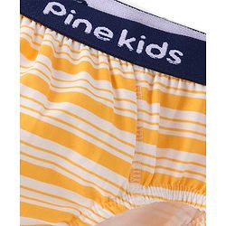 Pine Kids Cotton  Lycra Briefs Pack of 3  (Color May Vary)