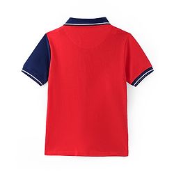 Pine Kids Cotton Knit Half Sleeves Polo T-Shirt Text Print - Multicolour