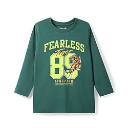 Pine Kids Cotton Knit Full Sleeves T-Shirt with Text & Tiger Print - Mint Green