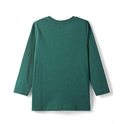 Pine Kids Cotton Knit Full Sleeves T-Shirt with Text & Tiger Print - Mint Green