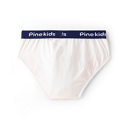 Pine Kids Cotton Lycra Knit Briefs Pack of 3 (Color & Print May Vary)