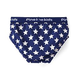 Pine Kids Cotton Lycra Knit Briefs Pack of 3 (Color & Print May Vary)