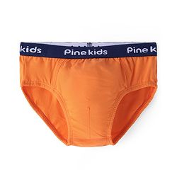 Pine Kids Cotton Lycra Briefs Pack of 3 (Color May Vary)