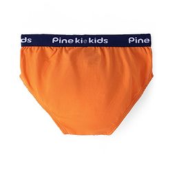 Pine Kids Cotton Lycra Briefs Pack of 3 (Color May Vary)