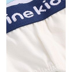 Pine Kids Cotton Lycra Knit Briefs Solid Colour Pack of 3 - Colour May Vary