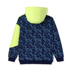 Pine Kids Cotton Knit Full Sleeves Hooded Sweatshirt With Abstract & Text Print- Blue & Neon Green