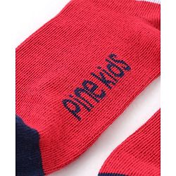Pine Kids Ankle Length Silvadur Antimicrobial Socks Pack of 3 (Colour May Vary)