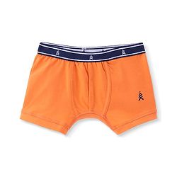 Pine Kids Cotton Spandex Knit Printed Trunks Pack of 3 (Colour May Vary)