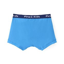 Pine Kids Cotton Spandex Knit Solid Colour Briefs Pack of 3 - ( Colour May Vary )