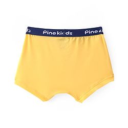 Pine Kids Cotton Spandex Knit Solid Colour Trunks Pack of 3  (Colour May Vary)