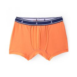Pine Kids Cotton Spandex Knit Solid Colour Trunks Pack of 3  (Colour May Vary)