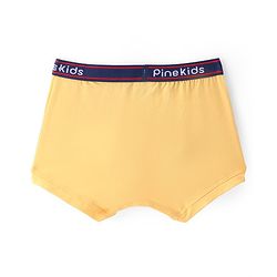 Pine Kids Cotton Spandex Knit Solid Colour Trunks Pack of 3  (Colour May Vary)