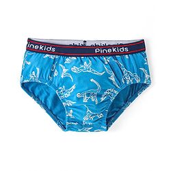 Pine Kids Cotton Spandex Knit Briefs With Stripes & Dino Print Pack of 3 (Color & Print May Vary)