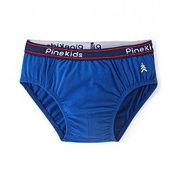Pine Kids Cotton Spandex Knit Briefs With Stripes & Dino Print Pack of 3 (Color & Print May Vary)