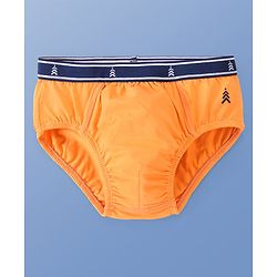 Pine Kids Cotton Spandex Knit Striped & Solid Colour Briefs Pack of 3 (Colour May Vary)