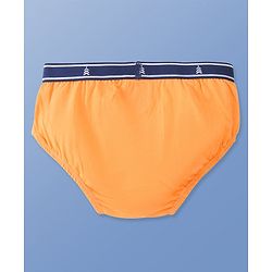 Pine Kids Cotton Spandex Knit Striped & Solid Colour Briefs Pack of 3 (Colour May Vary)