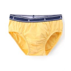 Pine Kids Cotton Lycra Knit Briefs Pack of 3 (Color & Print May Vary)