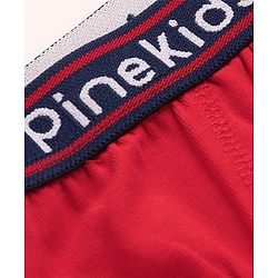 Pine Kids Cotton Lycra Knit Briefs Pack of 3 (Color & Print May Vary)