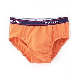 Pine Kids Cotton Spandex Knit Solid Color Briefs Pack of 3 (Color May Vary)
