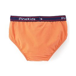Pine Kids Cotton Spandex Knit Solid Color Briefs Pack of 3 (Color May Vary)