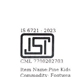 Pine Kids Buckle Closure Sandals - Golden