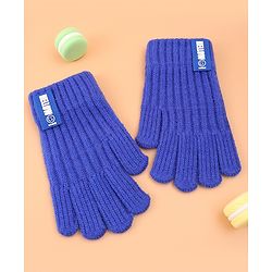 Pine Kids Pair of Winter Gloves with Text Patch- Blue