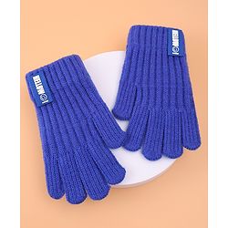 Pine Kids Pair of Winter Gloves with Text Patch- Blue