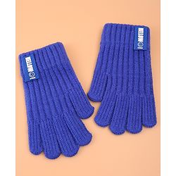 Pine Kids Pair of Winter Gloves with Text Patch- Blue