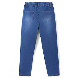 Pine Kids Ankle Length Denim Washed Jeans with Floral Applique - Blue
