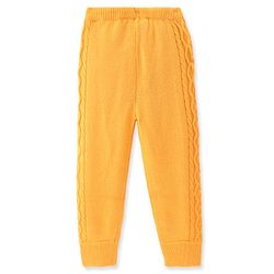Pine Kids Knitted Full Sleeves Pullover  Sweater & Pant Set with Cable Knit Design  - Mustard